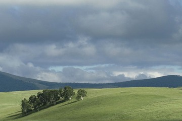 _MG_1451.jpg
