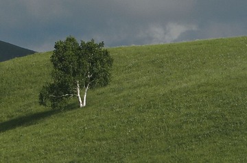_MG_1474.jpg