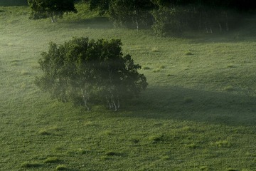 _MG_1589.jpg