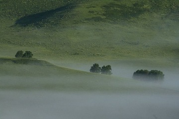 _MG_1608.jpg
