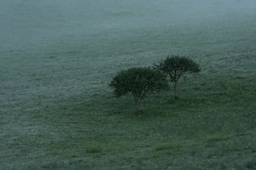 _MG_1613.jpg