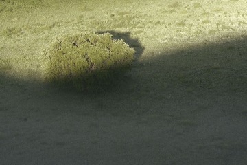_MG_1616.jpg