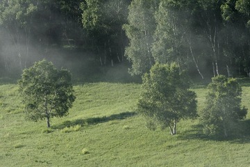 _MG_1661.jpg