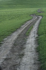 _MG_1746.jpg