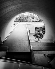 D88770E5-A1E5-495C-BB12-03880490C594/L0/001