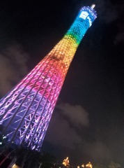 546