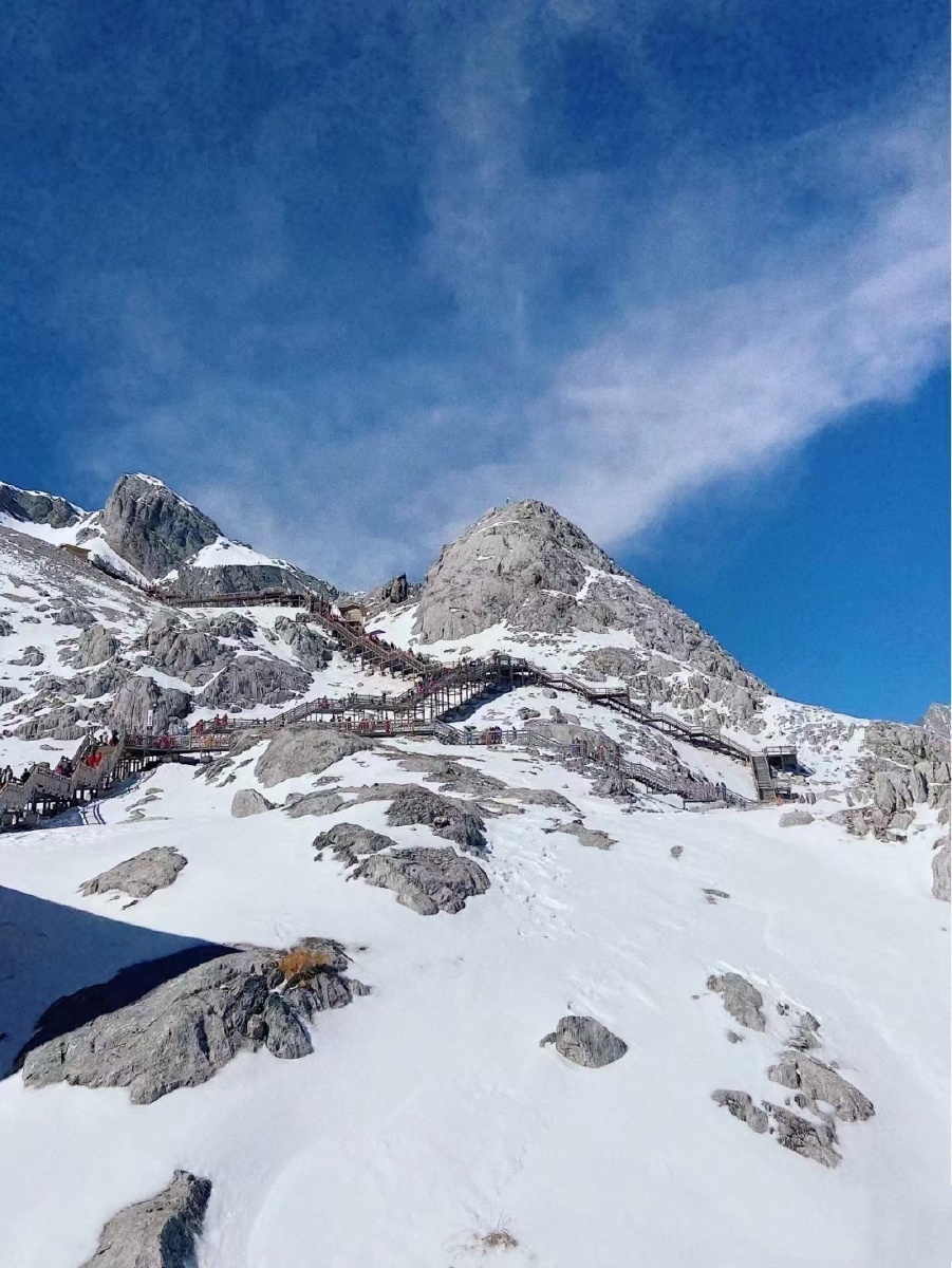 雪山飞狐