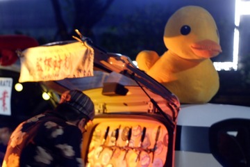 16039