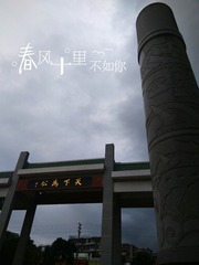 3557202