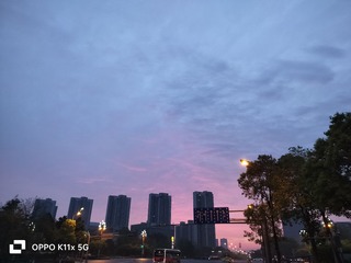 1000021551