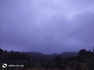 1000026638