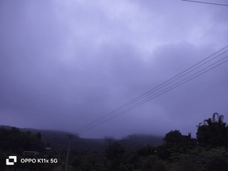 1000026639