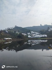 1000018742