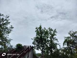 1000022574