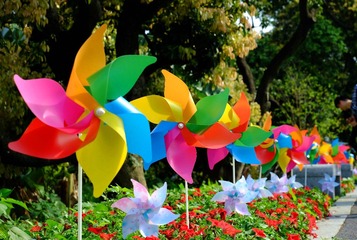 DSCF1001_