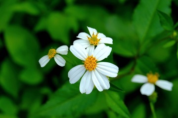 DSCF1010_