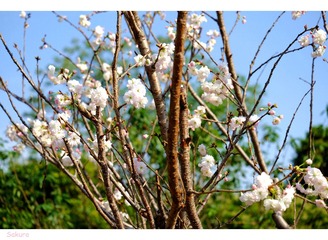 DSCF1044__2