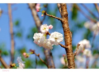 DSCF1049__2