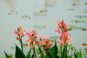 DSCF0998_
