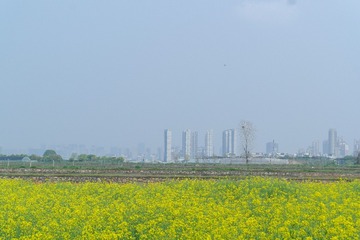 962DEB2E-9C74-40C3-8FC7-CF322CDD6974/L0/001
