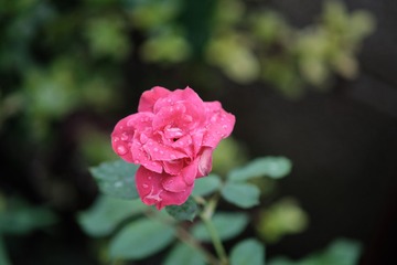 C37A8821-AD19-4FDF-BA4C-A7DD0851C372/L0/001