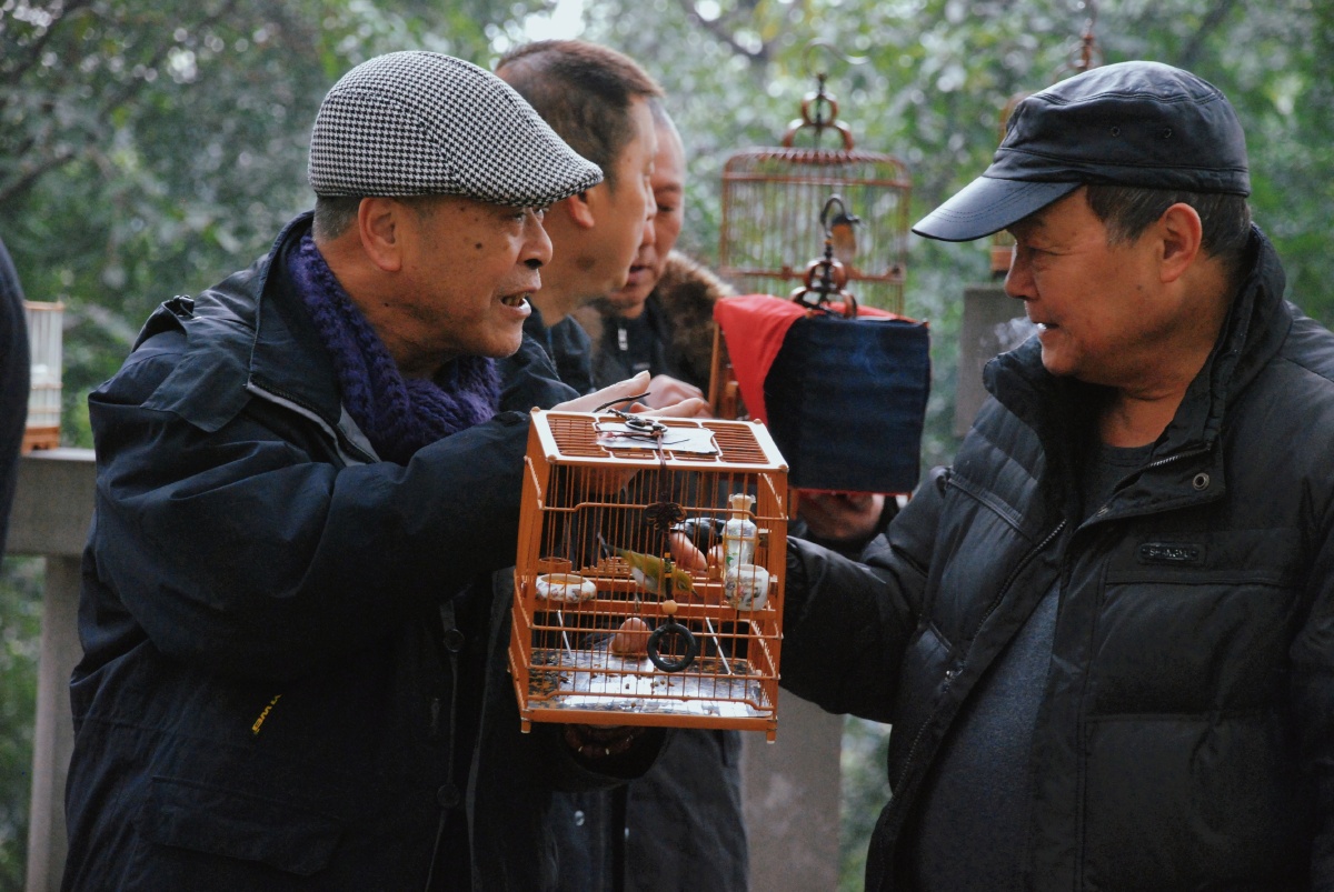 遛鸟偶遇重庆公园一景甚喜鸟与人很有感觉