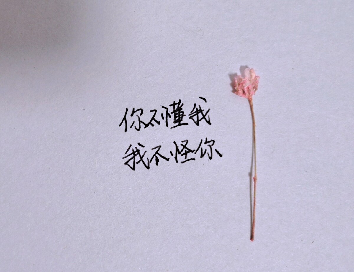 你不懂我我不怪你