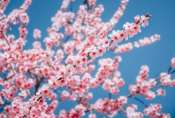 20180405_85_mm_10.15_中央重点_5