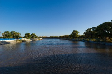 L1006014