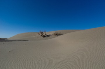 L1006026