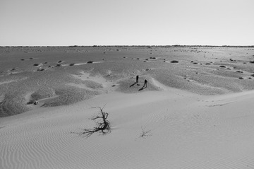 L1006156