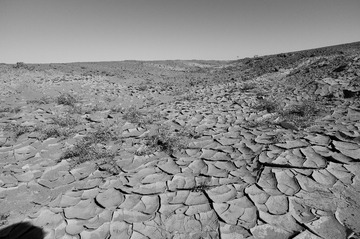 L1006195