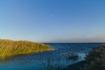 L1006336