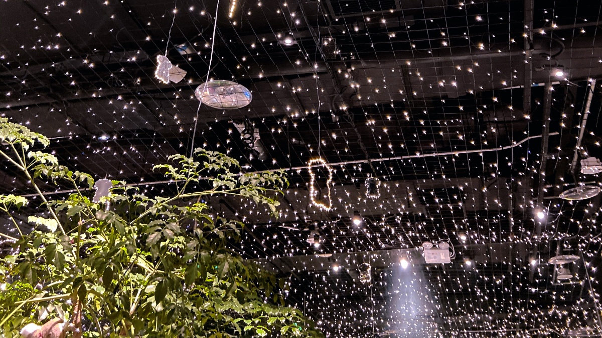 流落在屋顶的星光