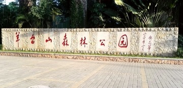 44348