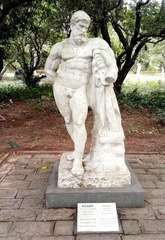 44373