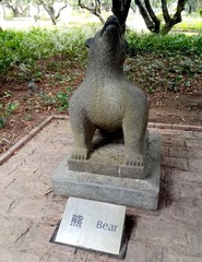 44371