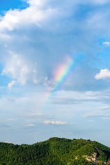 DSC_6475