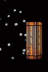 C50936AE-52E9-46EB-9DF8-784BFCDAFEF0/L0/001