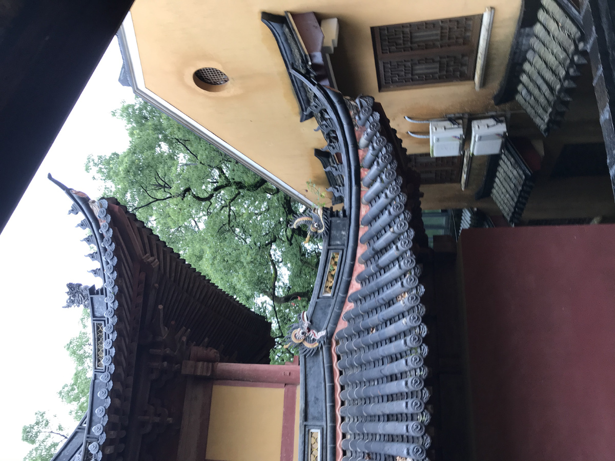 普陀山祈福之旅法雨禅寺