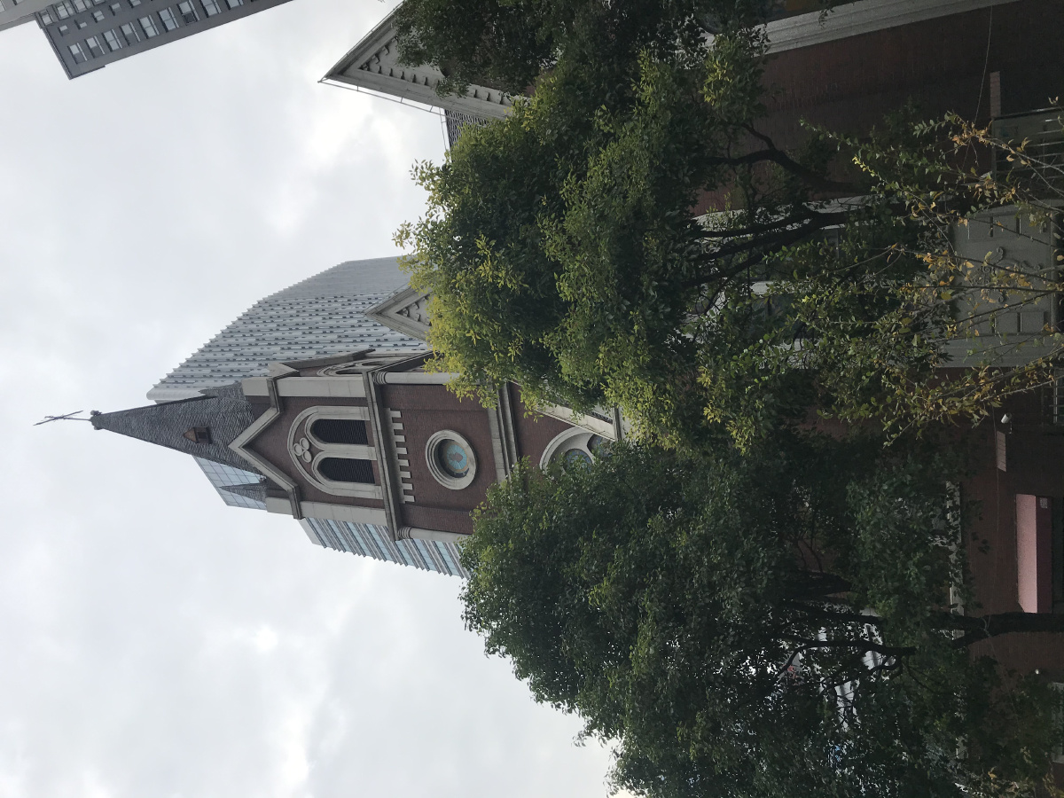 曹家渡天主教堂深秋银杏叶大教堂