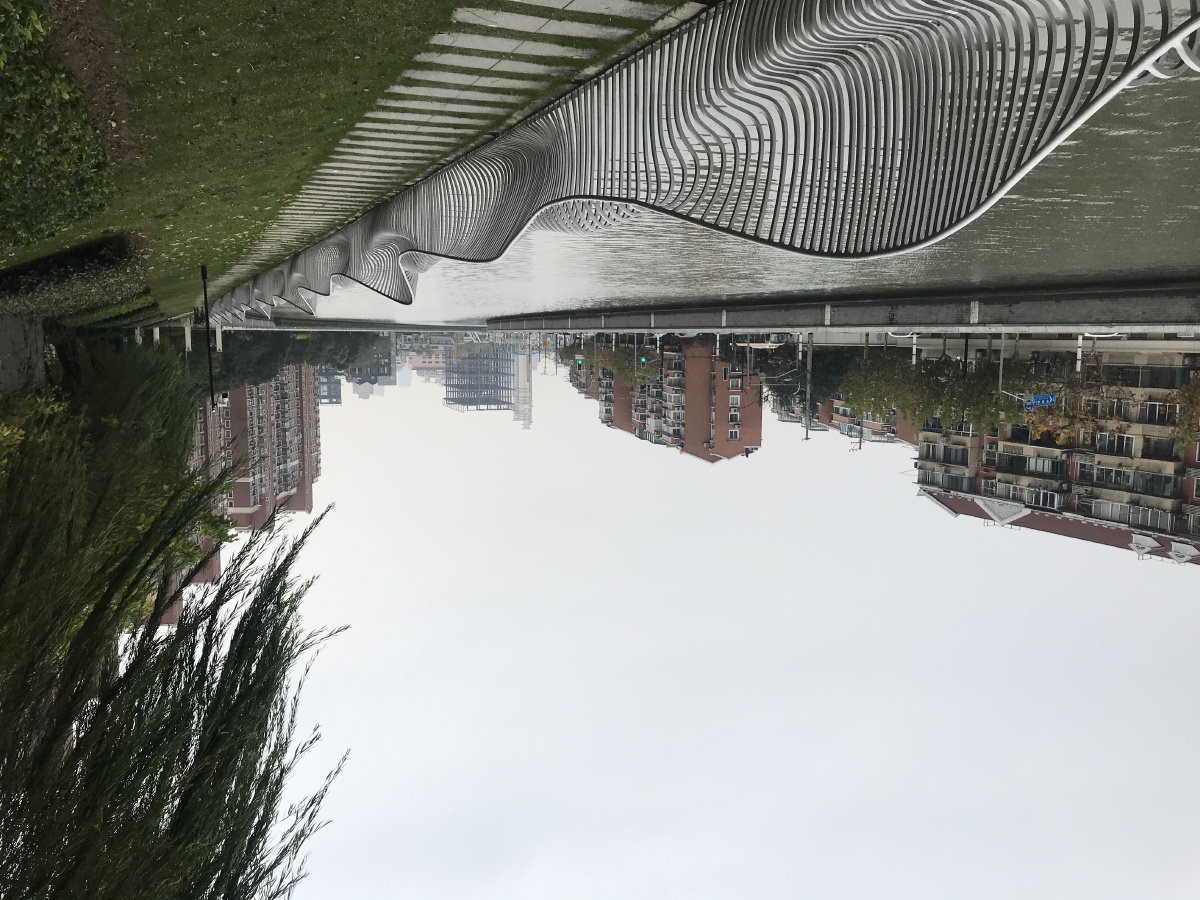 苏州河步道一路向西华东政法顺万航渡路到长宁路段景色宜人安居乐业