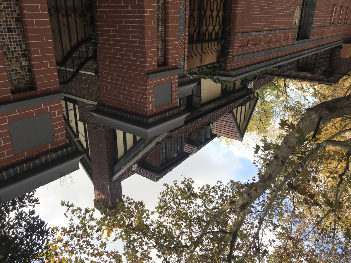 秋意浓浓的新华路散落在梧桐树下的花园洋房默默地讲述着自己当年的