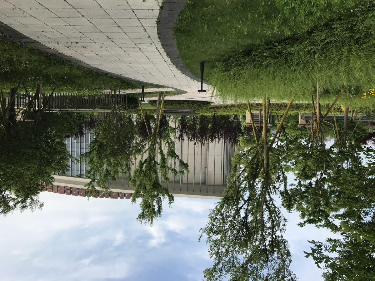 奉贤区上海之鱼九棵树艺术中心场馆设施篇