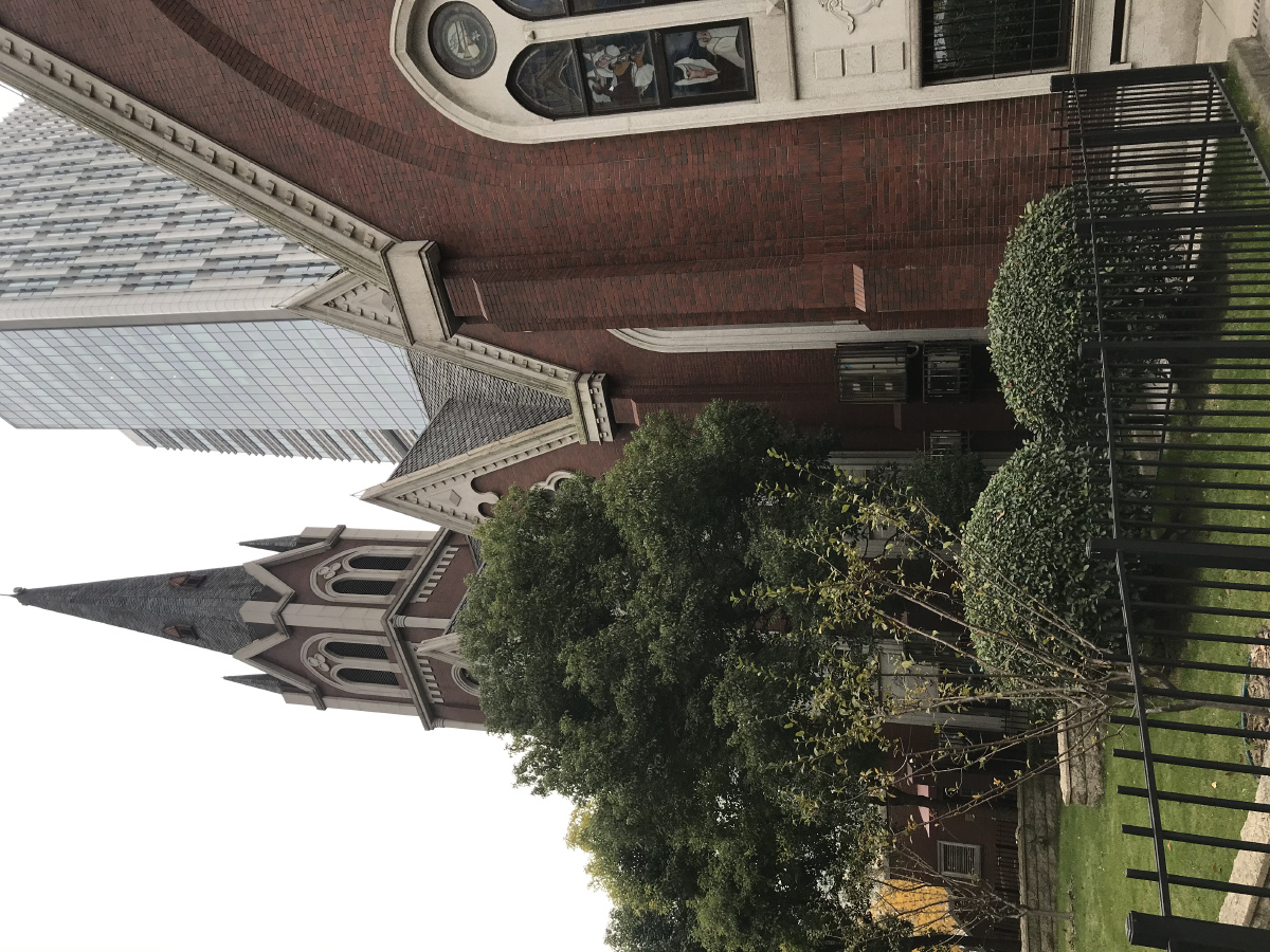 曹家渡天主教堂深秋银杏叶大教堂