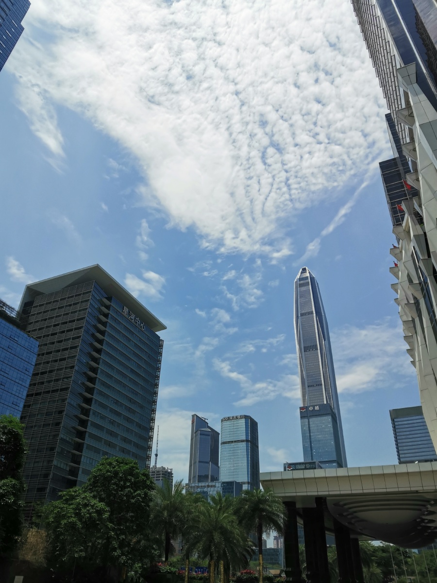深圳福田街景随拍不用加特效也很美