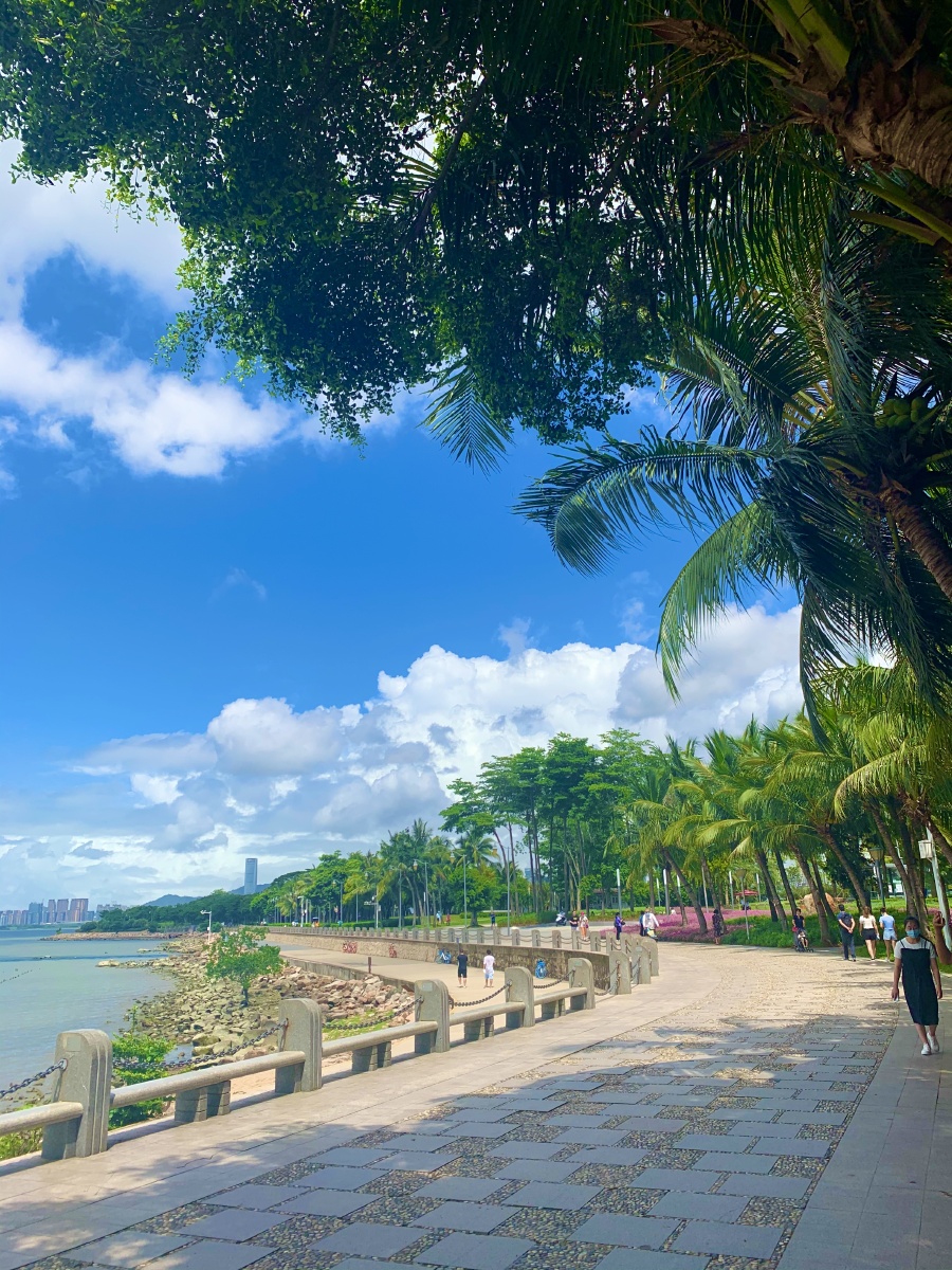 深圳湾美丽风景