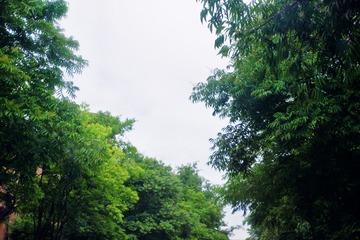 6846911B-9F63-44AB-9F96-C2D6AE5332B7/L0/001