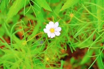484A9F37-B494-4A95-B179-59B505A29319/L0/001