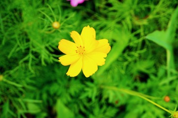 42D67502-776D-4D70-B9BE-C7A51F3960F5/L0/001